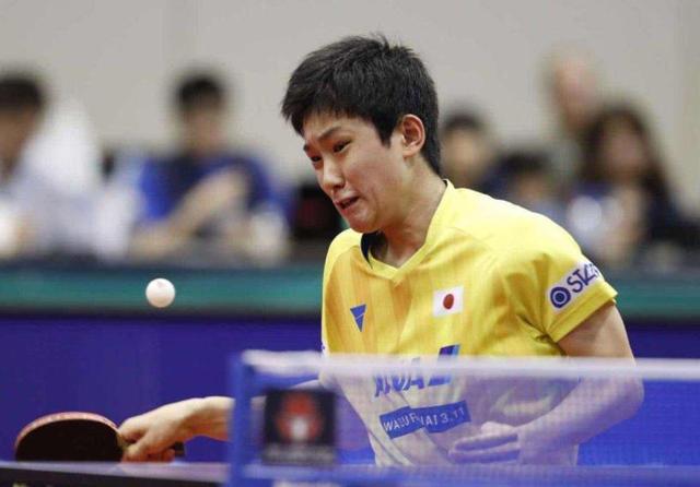 季后赛关键 季后赛关键