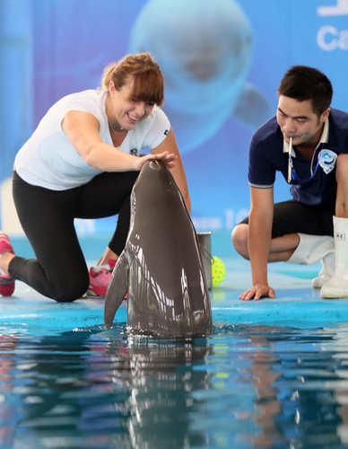 瓜帅与热刺 瓜帅与热刺